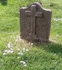 NO5116 : Pushing Up The Daisies. near to St Andrews, Fife, Great Britain - via Daymix