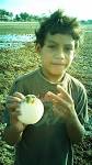 Shell Diggers at Low Tide - Shell-Diggers-at-low-tide-in-Nukualofa-25