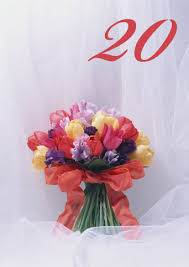 http://t1.gstatic.com/images?q=tbn:ANd9GcTCCSFZSgW_mr5-YdRikRwRunx0F8B2nRwAzoLvZs5cC4v9-qKYTA