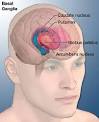 <b>Tourette syndrome</b> may be