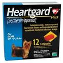 HeartGard Plus Chews for Dogs - US Pets