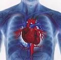 health and care solution - Evaluation of Heart Disease through the ...