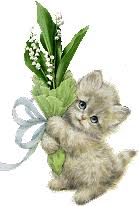http://t1.gstatic.com/images?q=tbn:ANd9GcTCjoGCpA-WhgK2ItIuPtu5RBZKqpn7OzpzM2v5hmDQAAFJz_TH