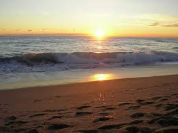 ������ ���� ������ �� ���� ������