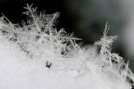 Hoa tuyết kiệt tác từ thiên nhiên Images?q=tbn:ANd9GcTCyAKti4I11XyjiUWegmnklLtd3xm2HFUUWzQex8dDB3pXr5q1