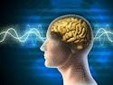 Electroencephalography - children, drug, used, medication, brain ...
