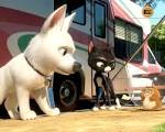 Bolt