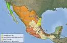  Mexico Drug Cartel Map | Coming Anarchy.