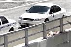 Naked Cannibal Eating Man's Face Shot Dead By Miami Police ...