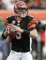 Image Carson Palmer goes to the Picture
