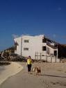 beach walk with resident doggie escorts - Picture of Ventanas al