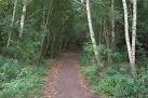 near to Wood Street Village, - via Daymix