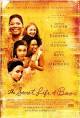 THE SECRET LIFE OF BEES (2008) - IMDb