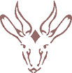 Recette de Gazelles dans Liens