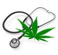Federal Courts | StoptheDrugWar.