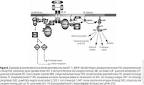 1 do <b>receptor de insulina</b>