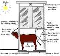 Religious slaughter and animal welfare:a discussion for meat ...