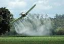 Pesticides won't kill off life in our oceans - Global warming ...