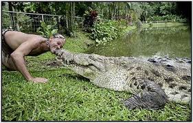 http://t1.gstatic.com/images?q=tbn:ANd9GcTEeTii5zF8cPmqpCO8qEkmojjVm9wk9xAvOoPJzCho5NJsuGoh