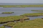 Aerial view of marsh wetland - via Daymix