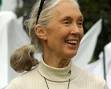 Jane Goodall began her