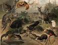 Fauna - Wikipedia, the free encyclopedia
