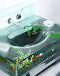Interior Design  Moody Aquarium Sink
