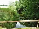 River Eden near Delaware Farm. It is interesting to compare this downstream - via Daymix