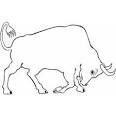Bull coloring page