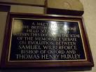 on the theory of natural selection propounded by Darwin and Wallace. - via Daymix