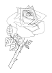 Malvorlagen - Blumen Blüten Pflanzen Rosen Bäume ...