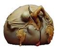 emergence