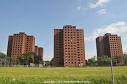 The Brewster Projects | dETROITfUNK