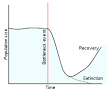 Bottleneck - Wikipedia, the free encyclopedia