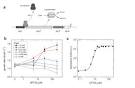 www.biomedcentral.com - Figure
