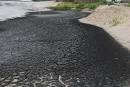  Bonga spill: Senate Committee satisfied with clean up