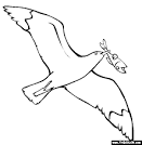 Seagull coloring page