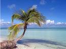 Cayo