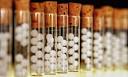 Homeopathic society 'misled' MPs in inquiry | Science | The Guardian