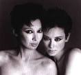 AIDS : Sistercampbell天涯共此時