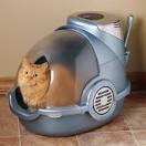 Cat Litter Tech: Keeping Your Home Free of Odors | Apartment Therapy