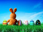 EASTER BUNNY Pictures, Images, Costumes, Drawing Free Download.