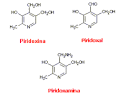 piridoxal y <b>piridoxamina</b>