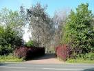 beyond is completely dead after the severe winters of 2009 and 2010. - via Daymix