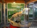 Jong's Crocodile Farm report » sixthseal.