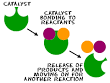Chem4Kids.com: Reactions: Catalysts and Inhibitors