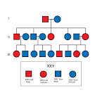 <b>Pedigree</b> Chart.svg