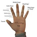 Finger Names: What are Fingers Called?