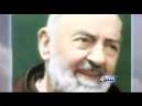 Frank Kelly - Short Circuit to