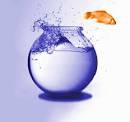 Linking Earth with Heaven Above: A Fish Out Of Water